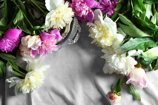 canva composition with fresh peony flowers on gray fabric top view MAD Qy0sCXU