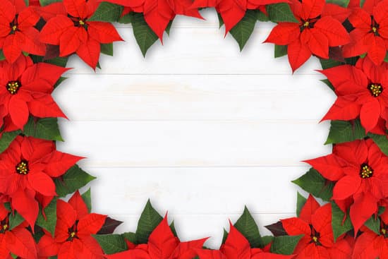 canva decoration of red poinsettia flowers MAESoTsZQHw