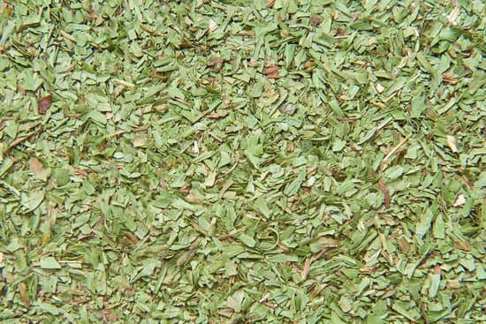 canva dried tarragon leaves MADCAF5dmz4