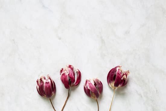 canva dried tulips flatlay