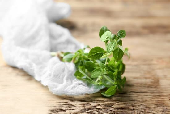 canva fresh aromatic oregano on wooden background