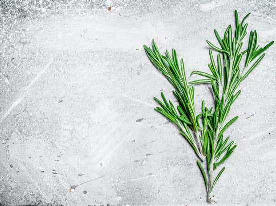 canva fresh fragrant rosemary. MAEPVNeTETY