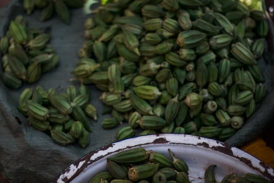 canva fresh okras in a bucket MAEiLKR7q9g