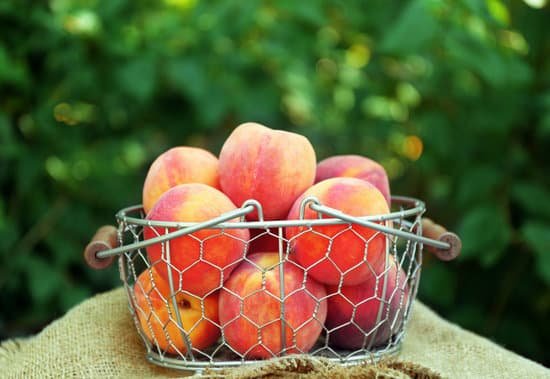 canva fresh peaches in metal basket on sackcloth MAD Q1oMXPU