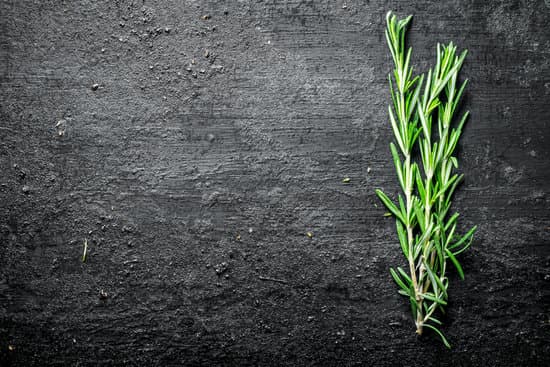 canva fresh rosemary on stone background MAEQO1pTKPc