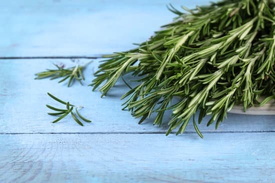 canva fresh rosemary on wooden table MAD QwLIFKY