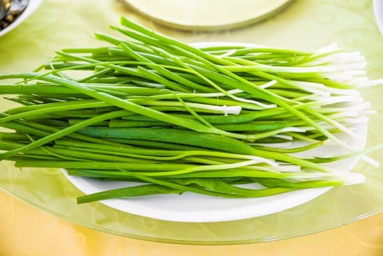 canva fresh scallion MADA7f6nL7Y