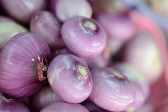 canva fresh shallots MAC 4BOdgPI