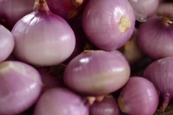 canva fresh shallots MAC 4BYVTIA
