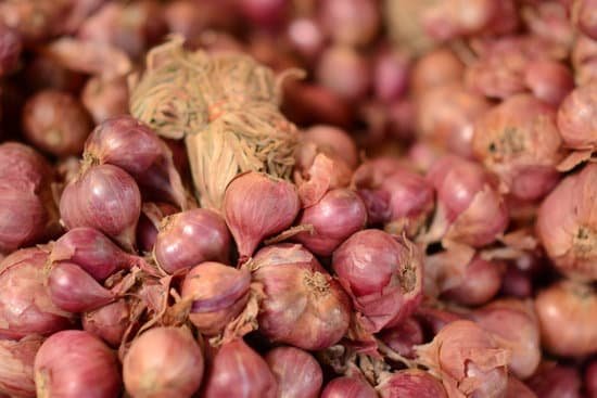 canva fresh shallots MAC 4eiQSCI