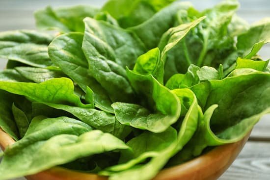 canva fresh sorrel in bowl on wooden table MAD Q i4i8