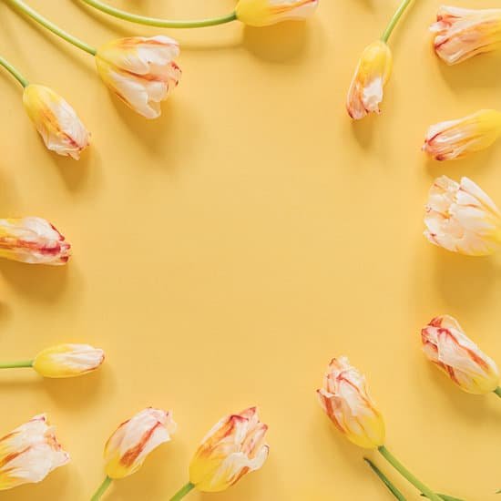 canva fresh tulips flat lay top view MAECUMVcHcE