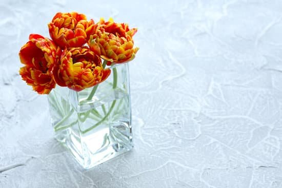 canva fresh tulips in glass vase MAD MXbTUlw