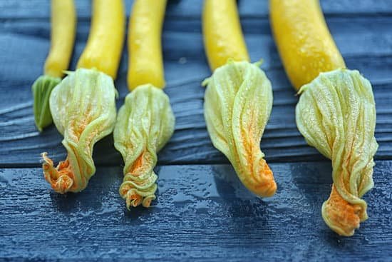 canva fresh yellow zucchini on wooden background MAD RHtK4ZY