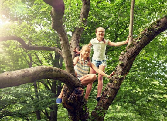 canva girls climbing up the tree MAES6Q5FJXY