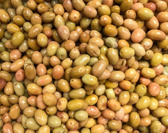 canva green olives in brine MAEDIdZtC5I