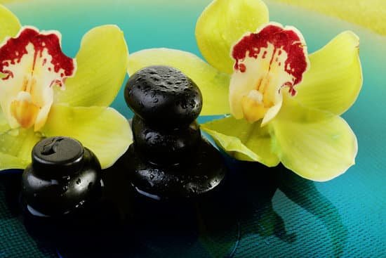 canva green orchids with wet spa stones MAD MD3vEas