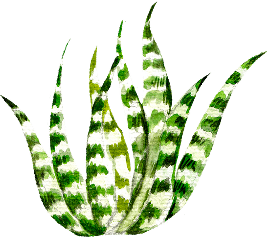 canva green snake plant watercolor garden painting MAEg3M6OwDc