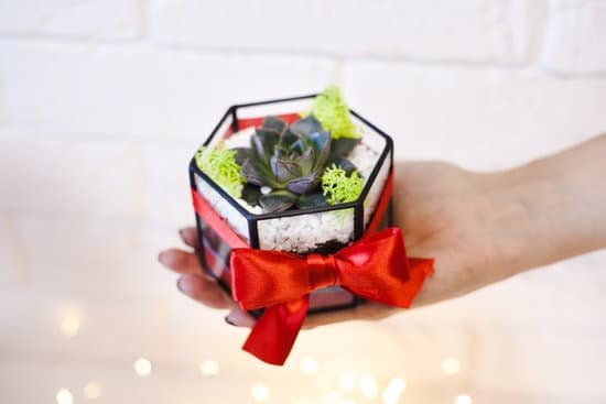 canva hand holding a succulent in geometric container with ribbon MAEMKAEbgAE