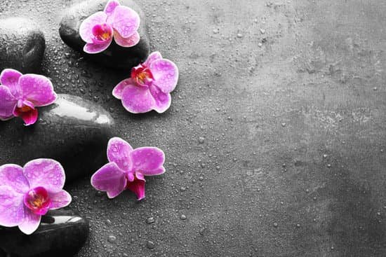 canva hot spa stones and orchids on dark background MAD Qoh97yU