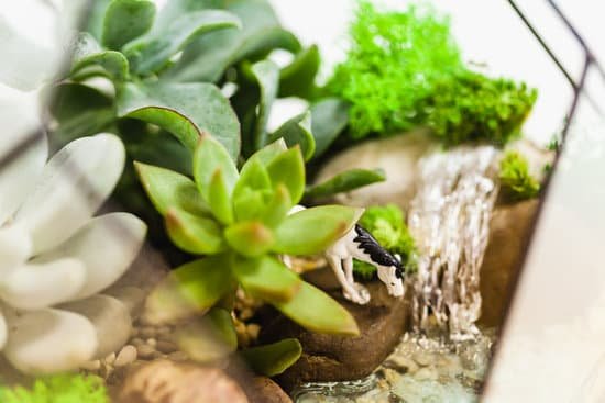 canva house decoration with succulents and horse toy MAEMWrLJet4