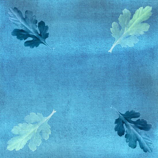 canva imprint of oak leaves on a watercolor background MAEIqv6H yk