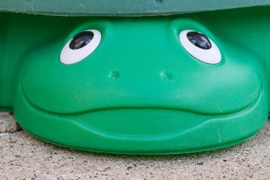 canva kids turtle sandbox MADE XftoUE