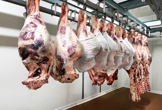 canva large pieces of meat hanging in cooler MAEOgI98MK4