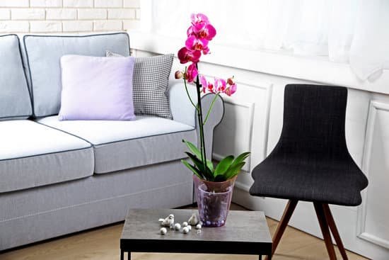 canva lilac orchid in pot on table in living room MAD MVemCHY