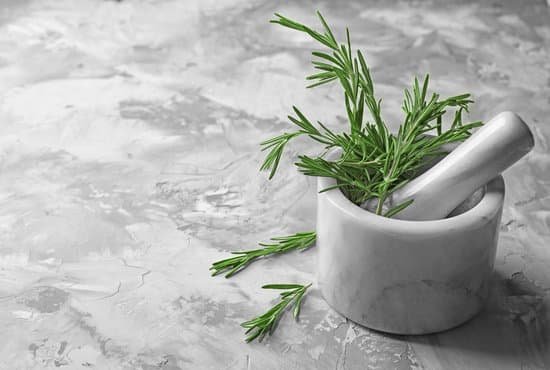 canva mortar with fresh rosemary on table MAD9bcarprI