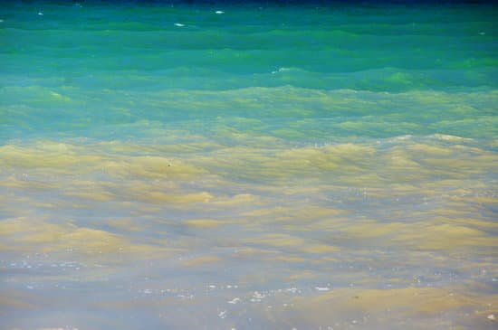 canva multicolored sea water MAEJsp0iB1A