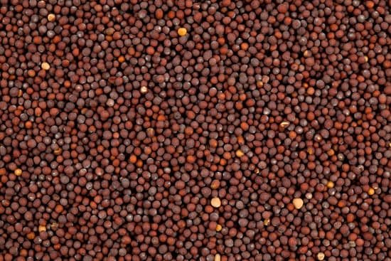 canva mustard seed MAEJclhDLfM