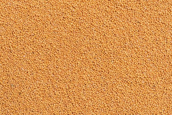 canva mustard seed background MADFyee7uXc