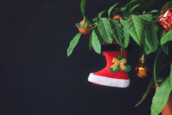 canva nightshade christmas tree with red xmas boot ball and gift box. green pot plant nightshade with berries and red christmas decoration on dark background. MADLqIwo FA