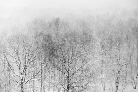 canva oak wood in snowstorm MAC397X0VP0