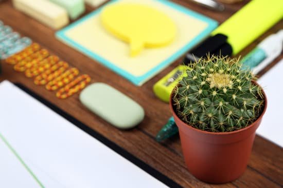canva office table with succulent MAD Ql0CeMA