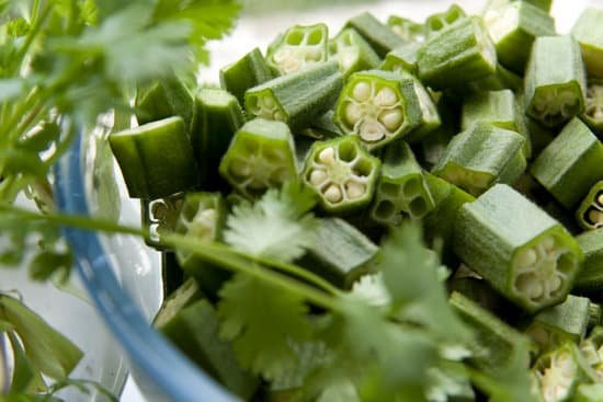 canva okra MAC7HZfS3UM