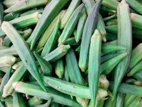 canva okra MADAy33nyUU
