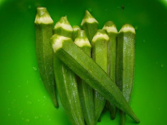 canva okra MADBlWwGiB0