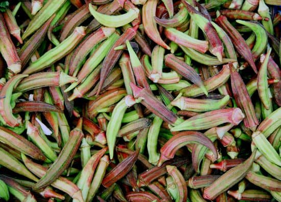  How To Prepare Frozen Okra For Gumbo JacAnswers