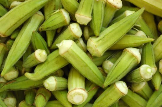 canva okra