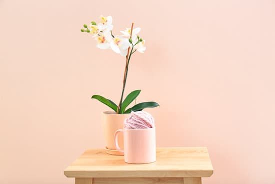 canva orchid and apricot cup with thread ball on table MAD9T ewnbw