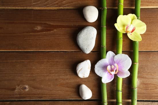 canva orchid flowers and bamboo with pile stones on wooden background MAD