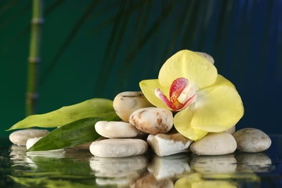 canva orchid with pebbles on water MAD MP0XBm0