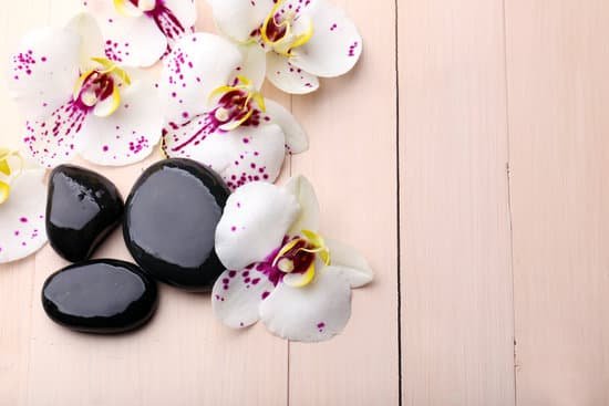 canva orchids and zen stones on wooden background MAD MkLv Do