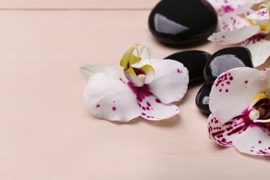 canva orchids and zen stones on wooden background close up MAD MjKKlL4