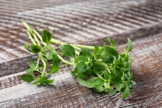 canva oregano leaves on a wooden table MAD9T9UDQm8