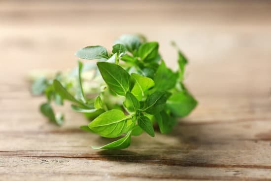 canva oregano leaves on a wooden table MAD9TzafZT8