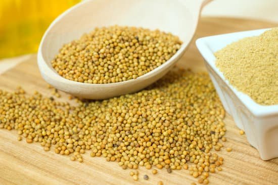 canva organic mustard seeds MAC 9UJds9w