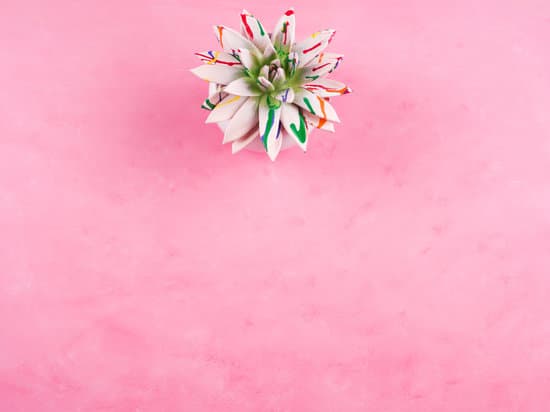 canva painted succulent on pink textured background MAEOs LChe8